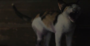 Washed Out A Dedication video still